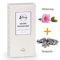 Beany / "Skin Whitening + Terebinth"  Набор мыла 2x120 SWTB